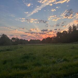 Meet your Posher, Innovation